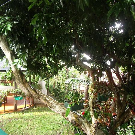فيلا Les Agapanthes لو تامبون المظهر الخارجي الصورة