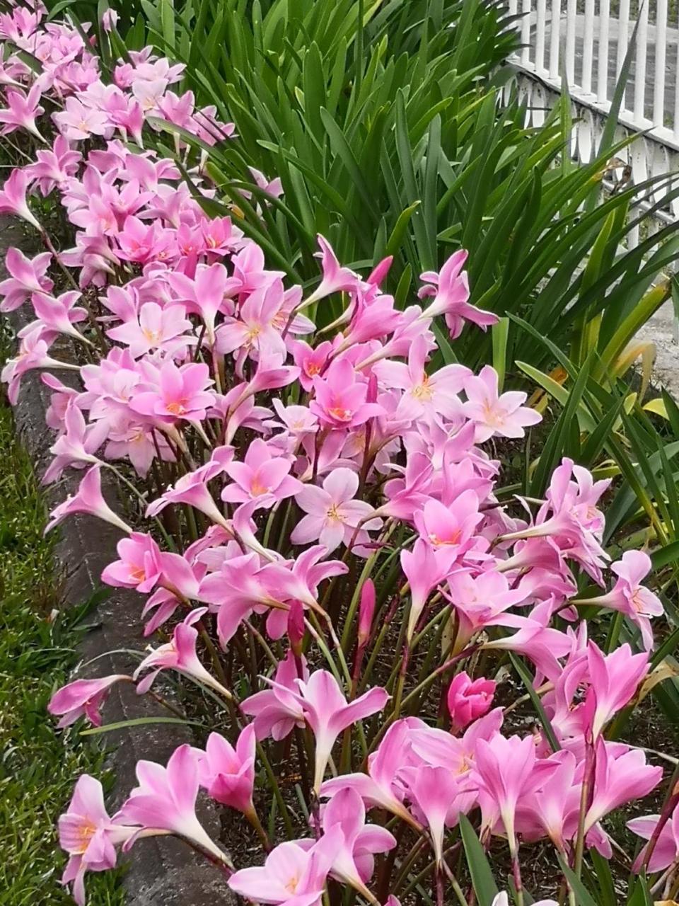 فيلا Les Agapanthes لو تامبون المظهر الخارجي الصورة